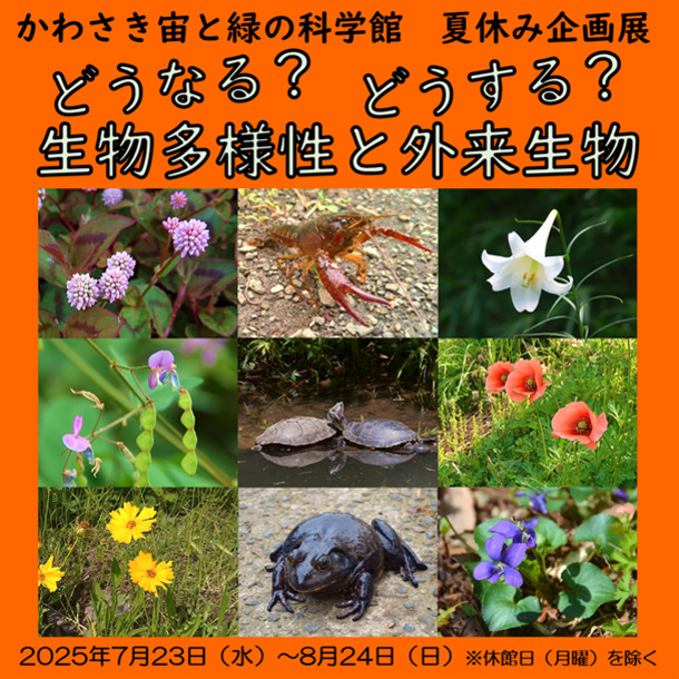 かわさき宙と緑の科学館夏休み企画展「どうなる？どうする？生物多様性と外来生物」