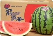 能登スイカ