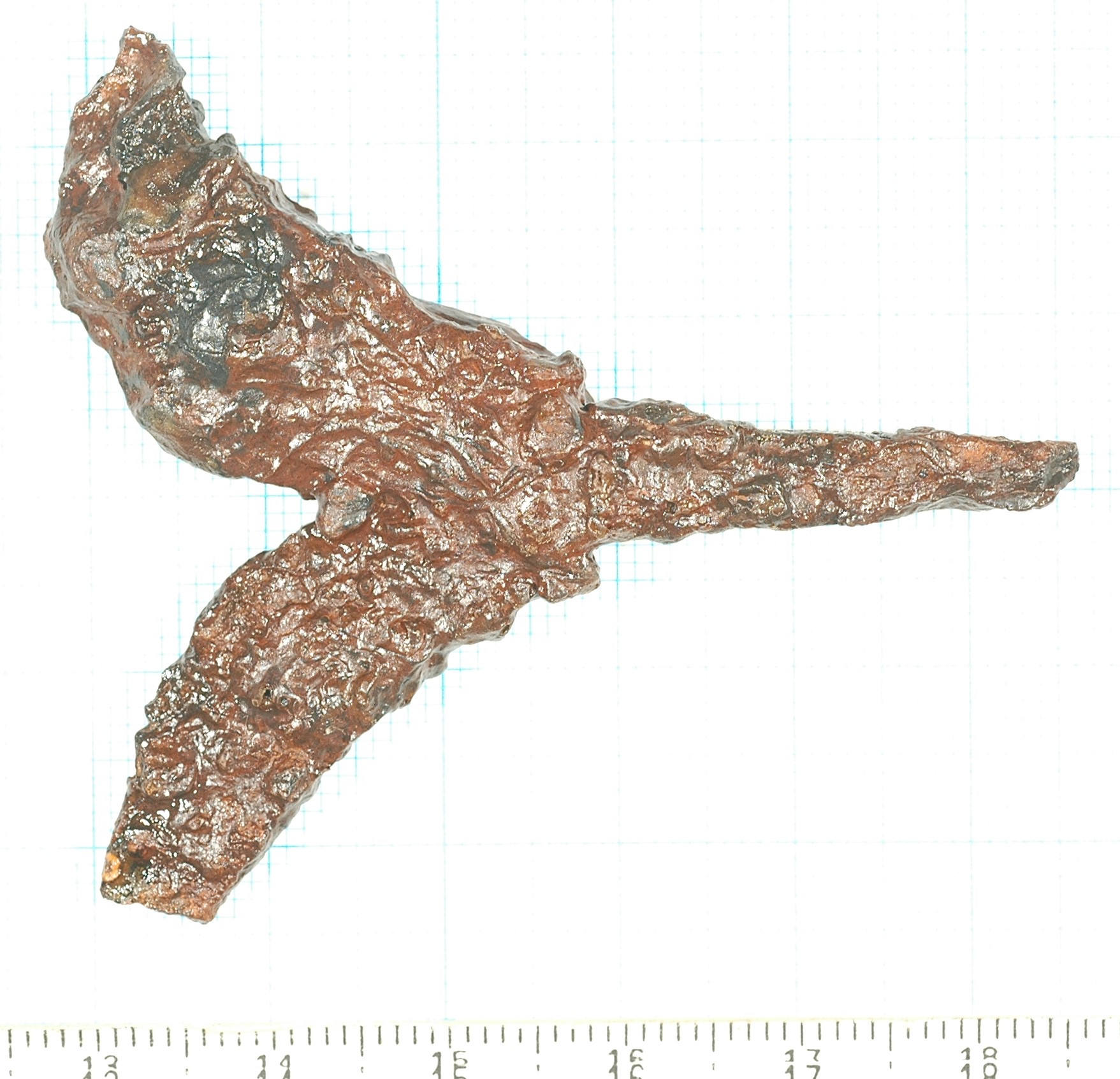 鉄鏃。処理後。