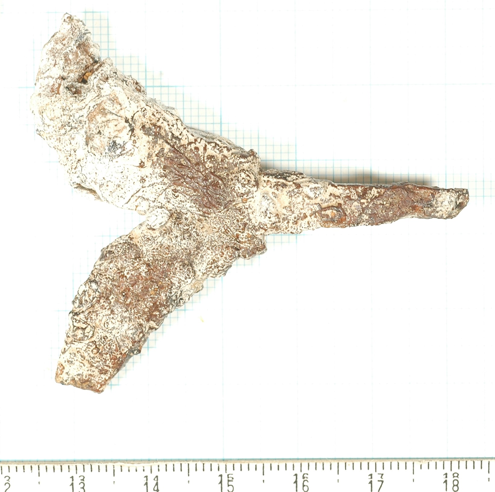 鉄鏃。処理前。