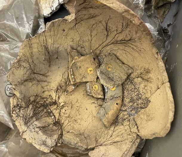 有機物を含んだ水が栄養源となり、菌類が発生した。