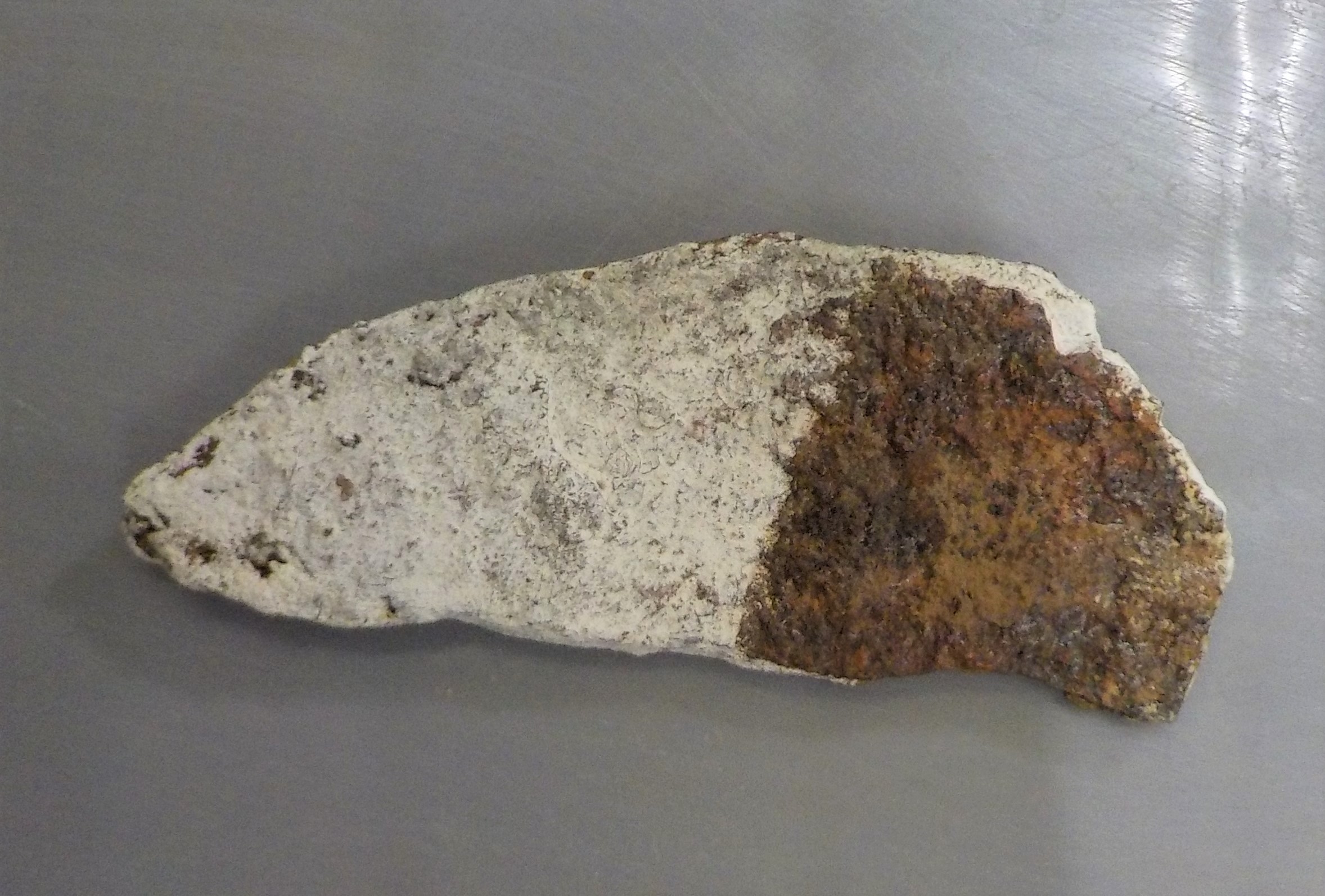 テトラヒドロフランという薬剤を塗布した結果