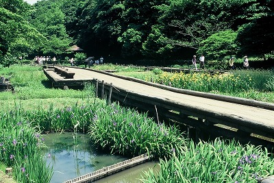 県立東高根森林公園