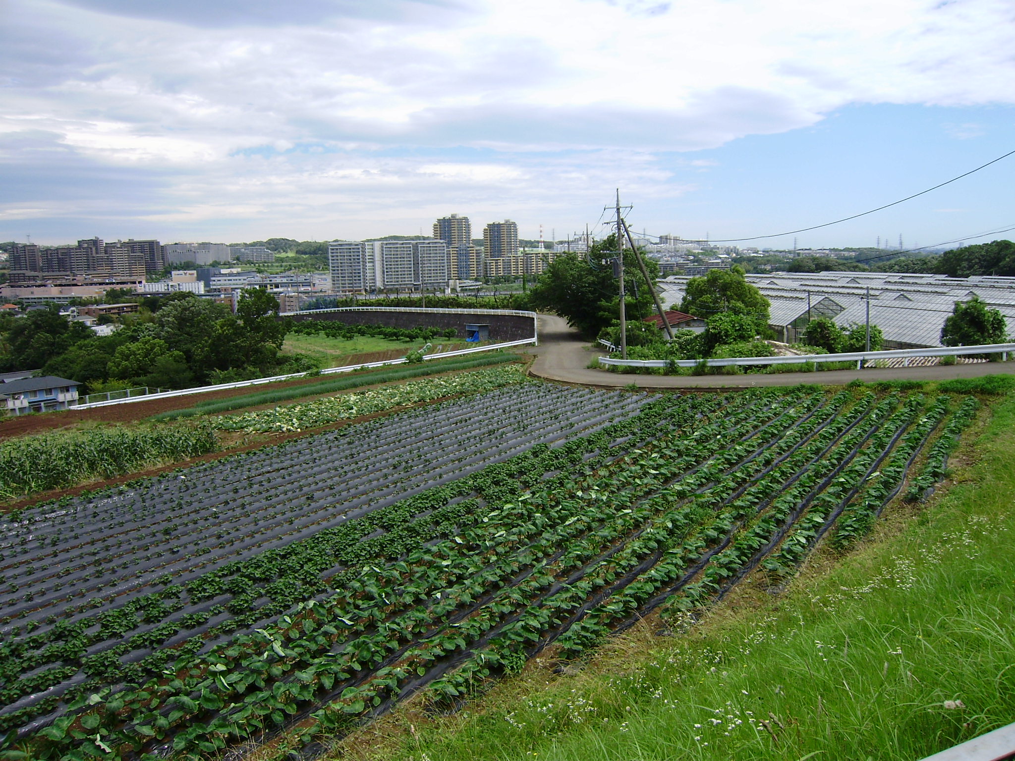 黒川東農業振興地域（麻生区）