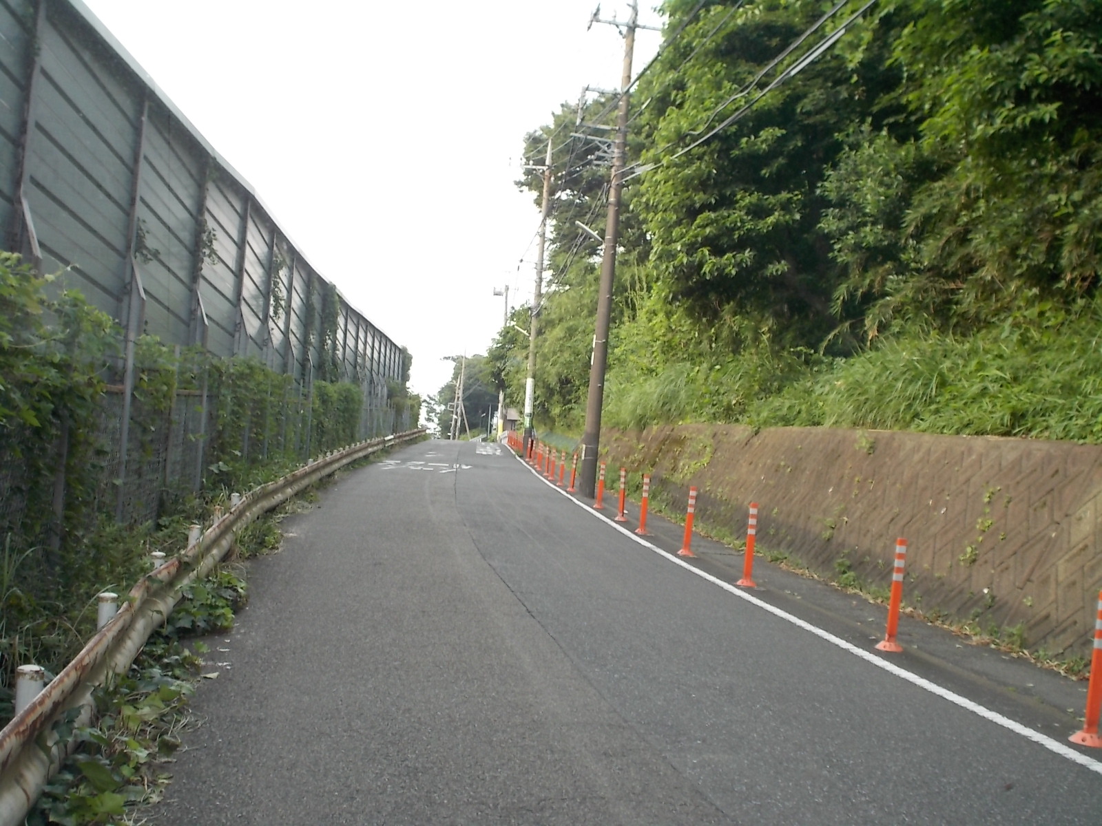 東高根森林公園へ向かう道路の写真