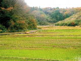 （2）黒川の里山