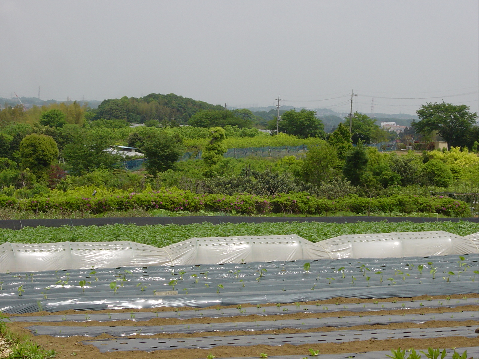 （1）岡上の郷