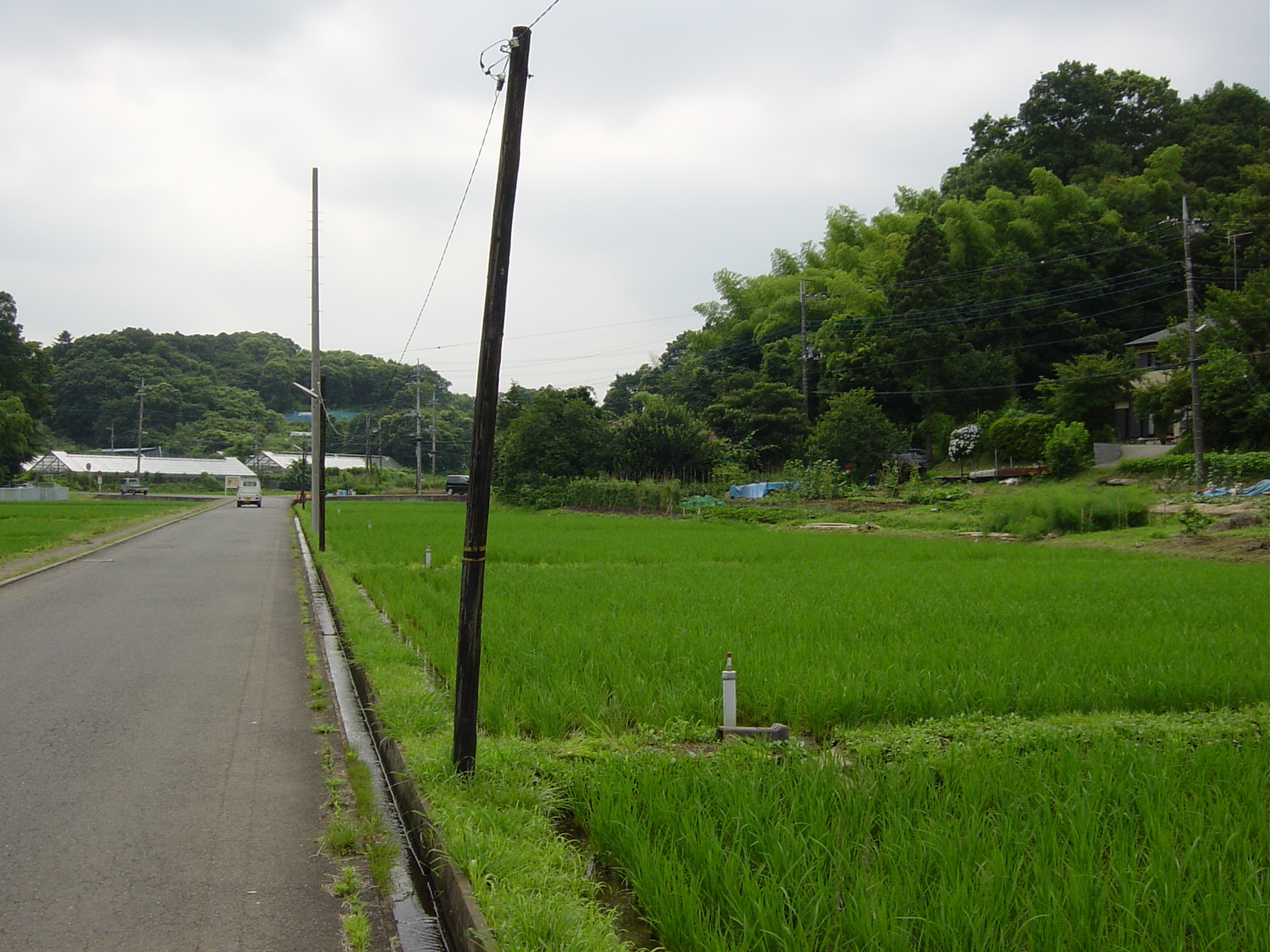 （2）黒川の里山