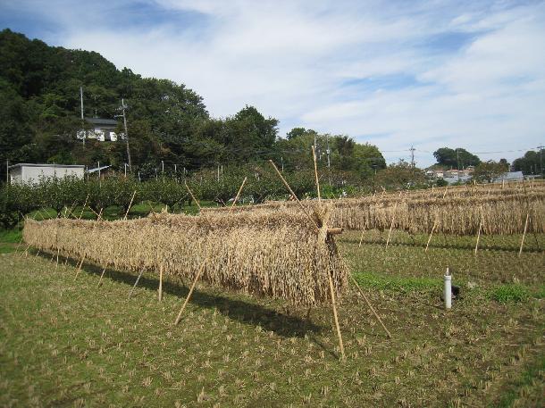 （2）黒川の里山