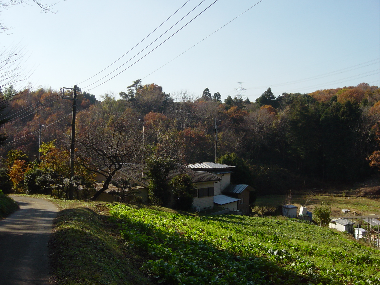 （2）黒川の里山