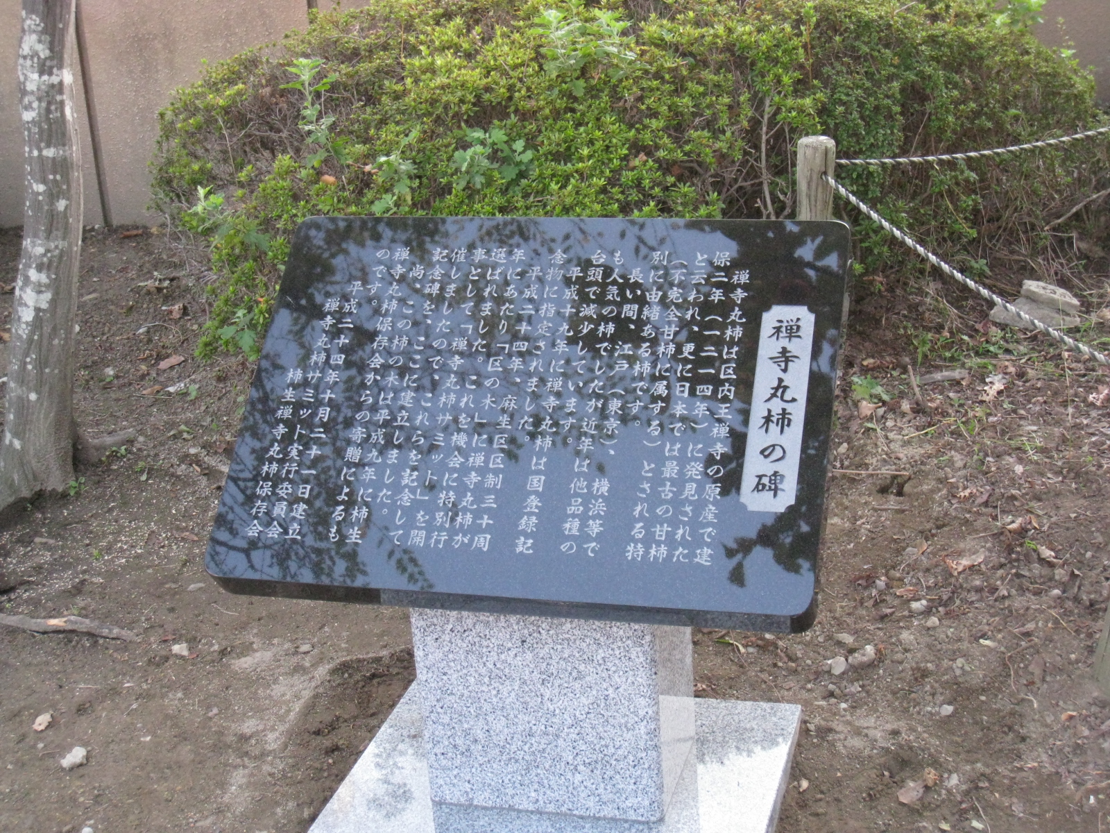 禅寺丸柿の碑