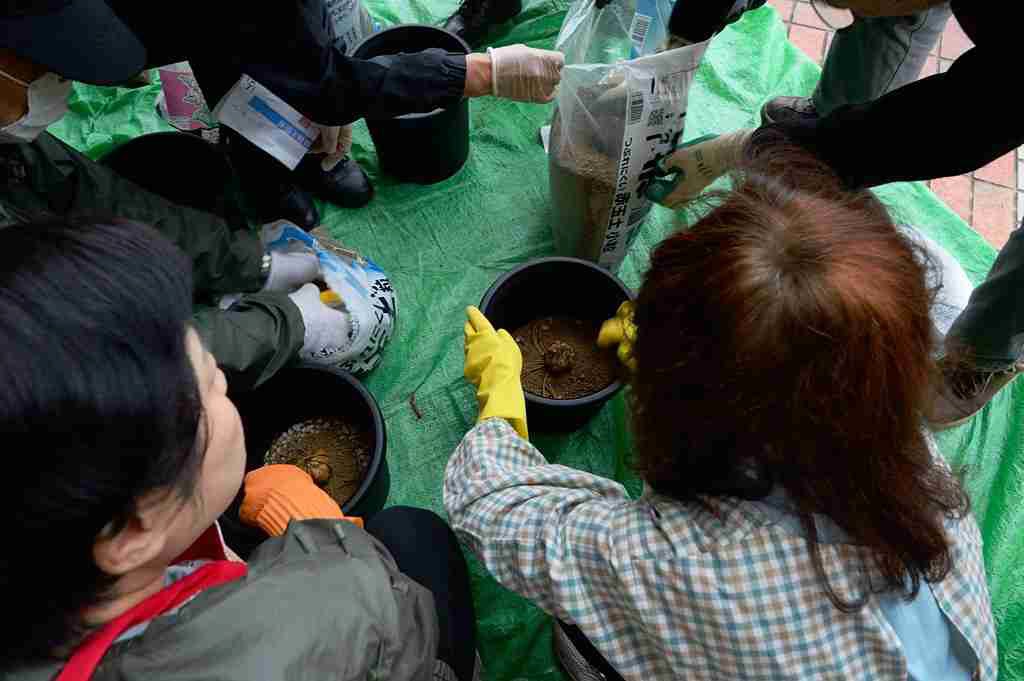 写真：ヤマユリ講習会・実習