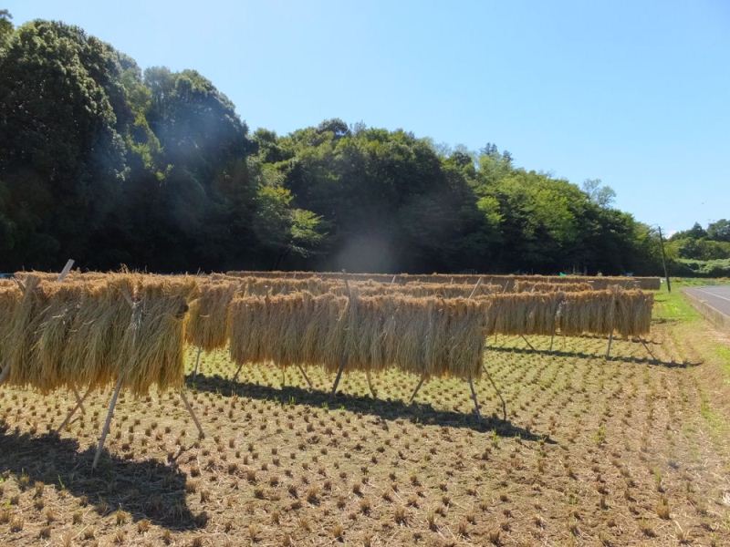 写真（黒川の田園風景（2013年10月撮影）