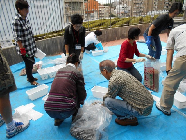 実習の様子。開花を願って種を撒きます。