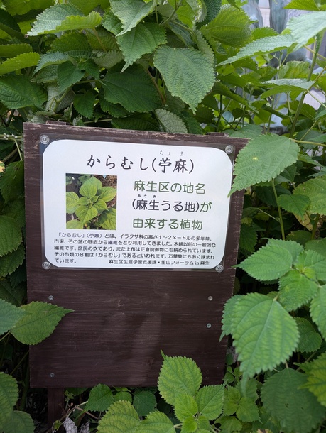 からむし
