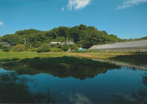 水鏡・台風一過の田園