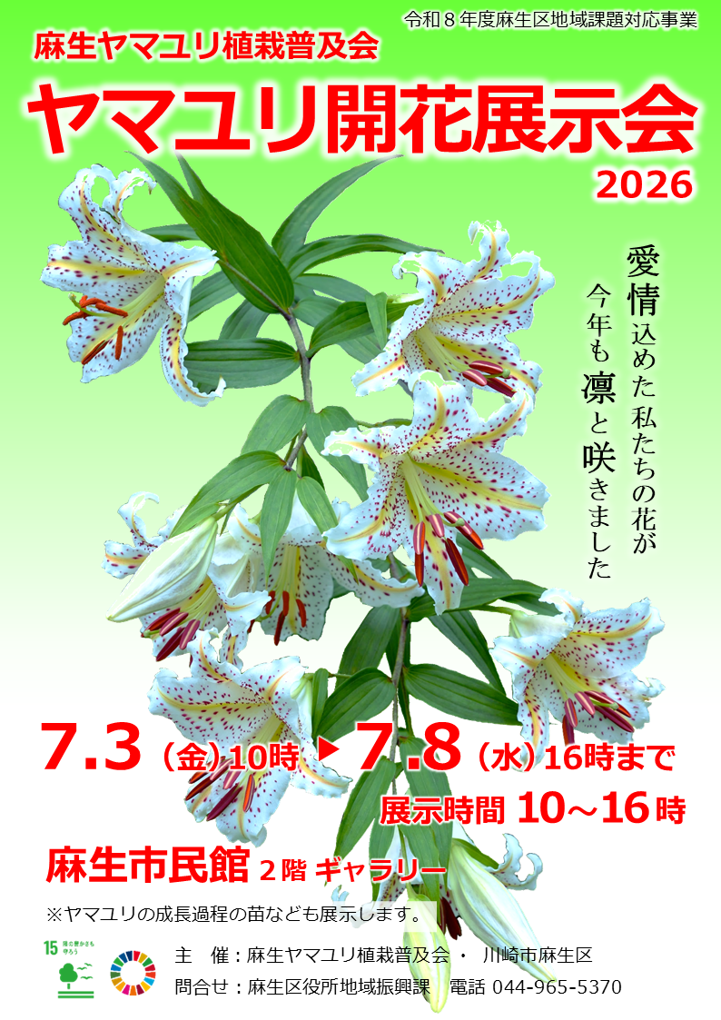 チラシ表面