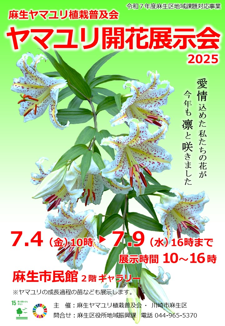 チラシ表面