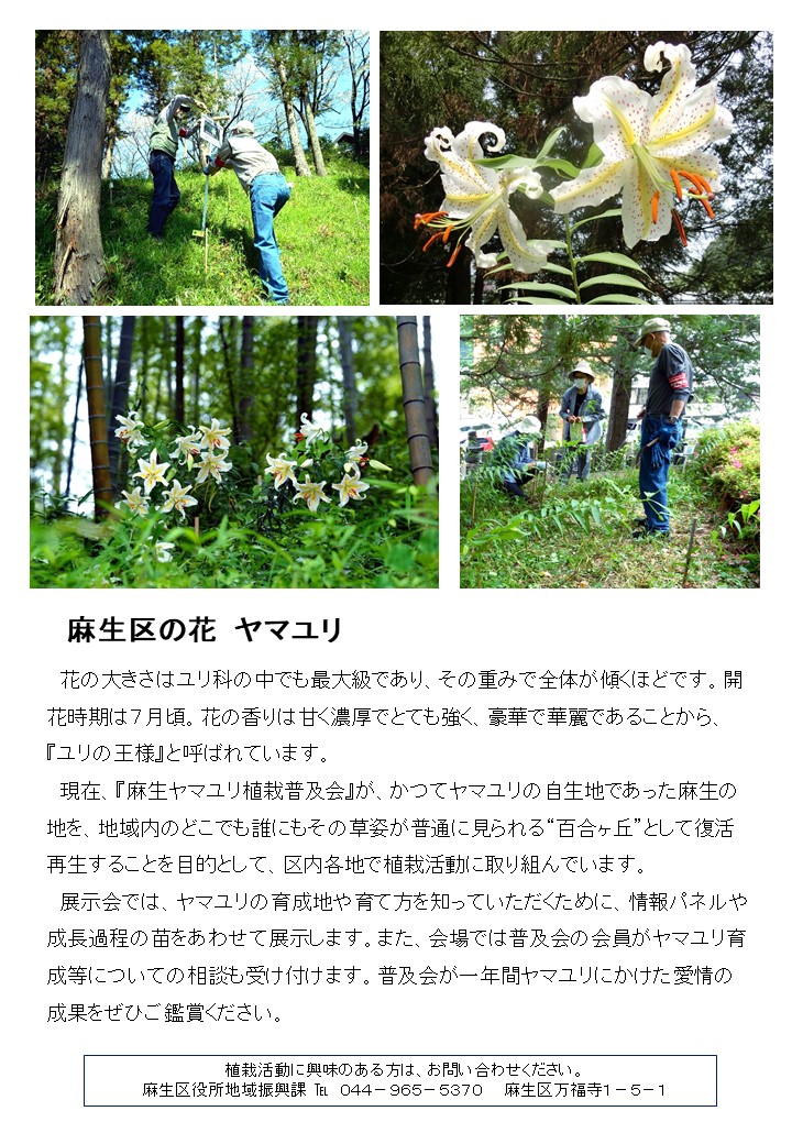 チラシ裏面