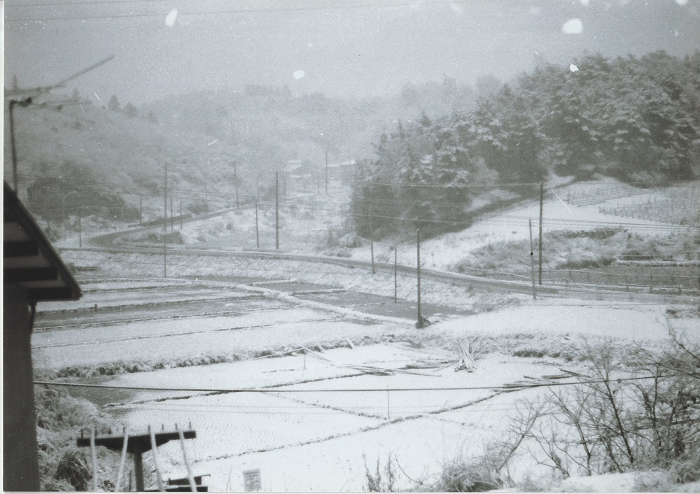 雪の裏門坂