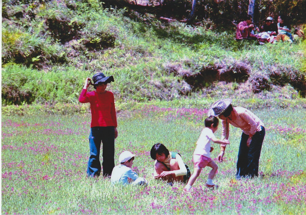 初夏の日吉