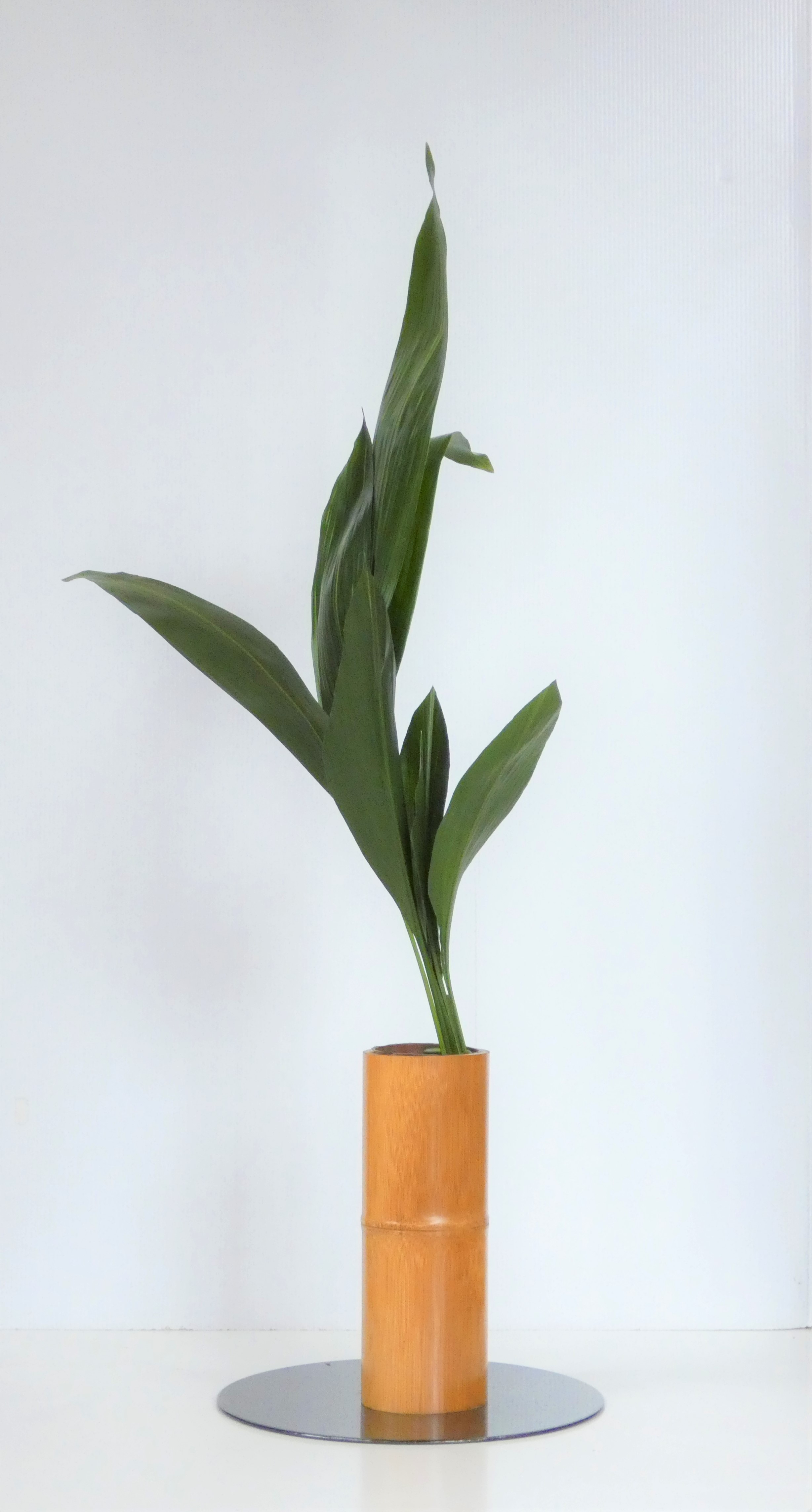 生け花の写真