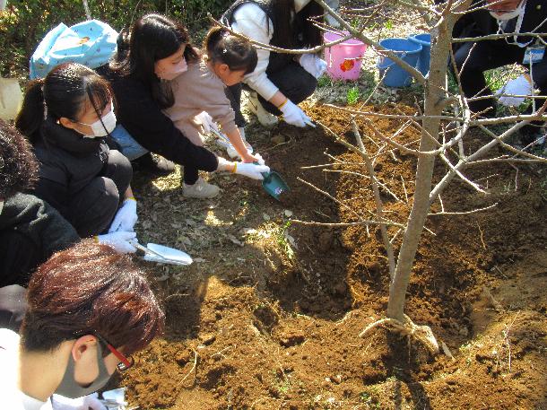 植樹の様子