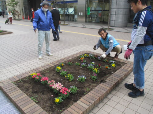 花壇に花を植えました。