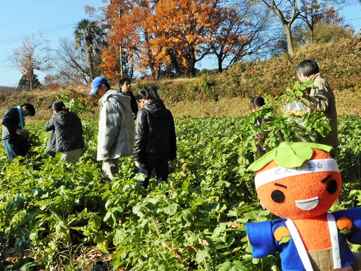 写真（令和元年実施の様子）