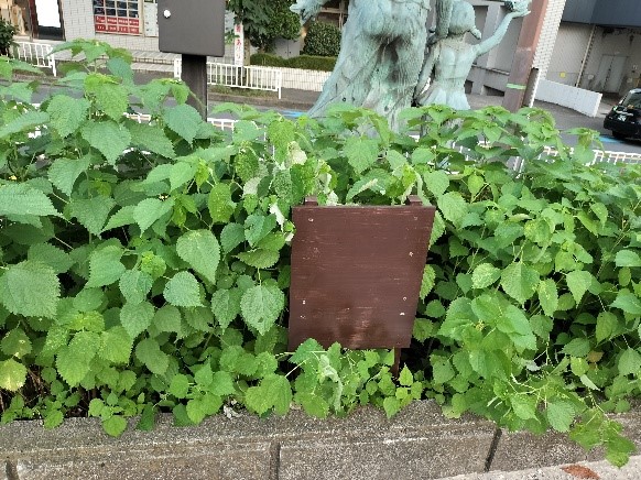 からむし看板