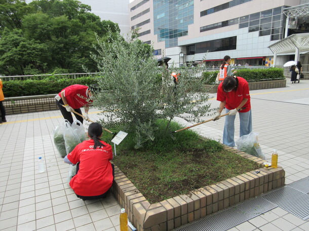 花壇の除草作業の様子