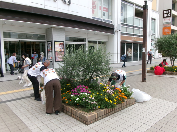 花壇の除草作業の様子