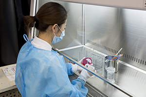 細菌検査を行っている様子