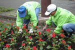 小田公園花壇花壇づくりの会写真