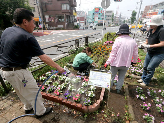 渡田交番前花壇活動