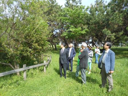 公園内には120種類以上の樹木が植樹されています