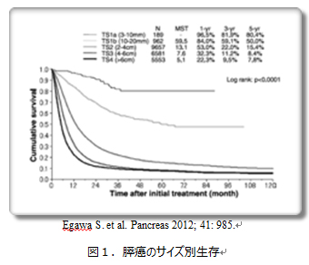 図1.膵癌のサイズ別生存