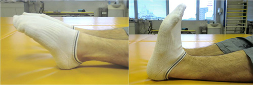 足首の運動の写真