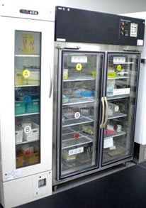 自記温度記録計と警報装置の付いた輸血用血液専用の保冷庫の写真