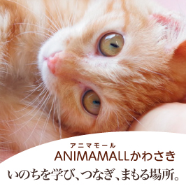 アニマモールかわさき　いのちを学び、つなぎ、まもる場所。