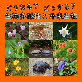 どうなる？どうする？生物多様性と外来生物