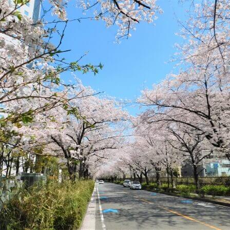 川崎市観光協会