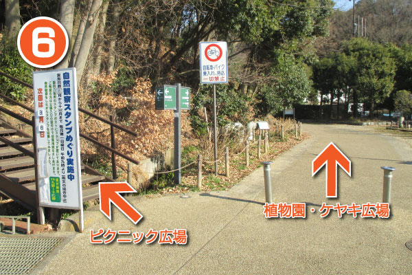 公園に入るとすぐに分岐します