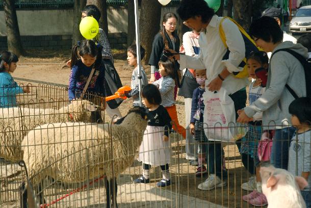 第33回宮前区民祭の様子