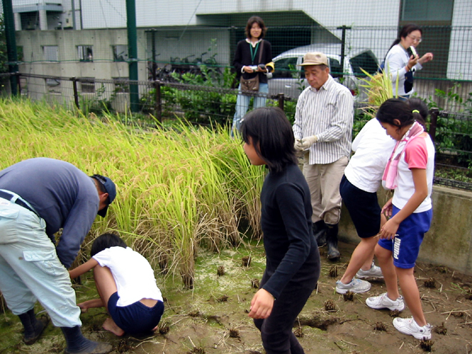 井田米プロジェクト