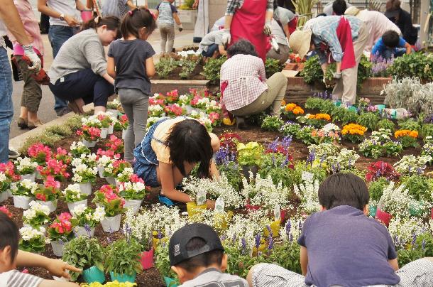 親子花植