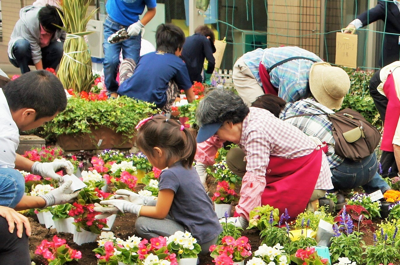 【キッズ花植え体験】参加者募集！ 