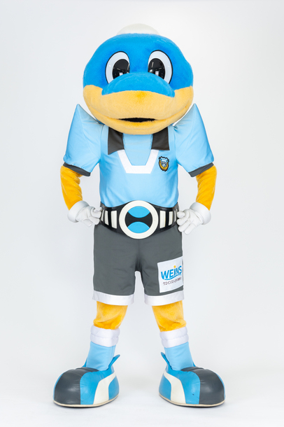 ふろん太の写真です