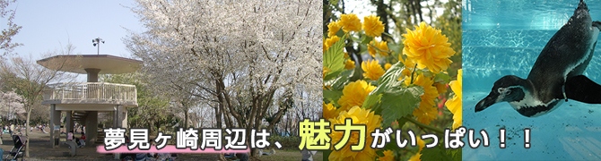 夢見ヶ崎周辺の魅力