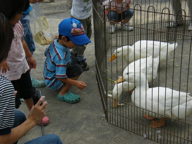 移動動物園